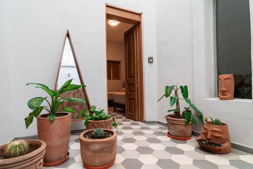 Casa Del Desierto Villa Guadalajara Exterior foto